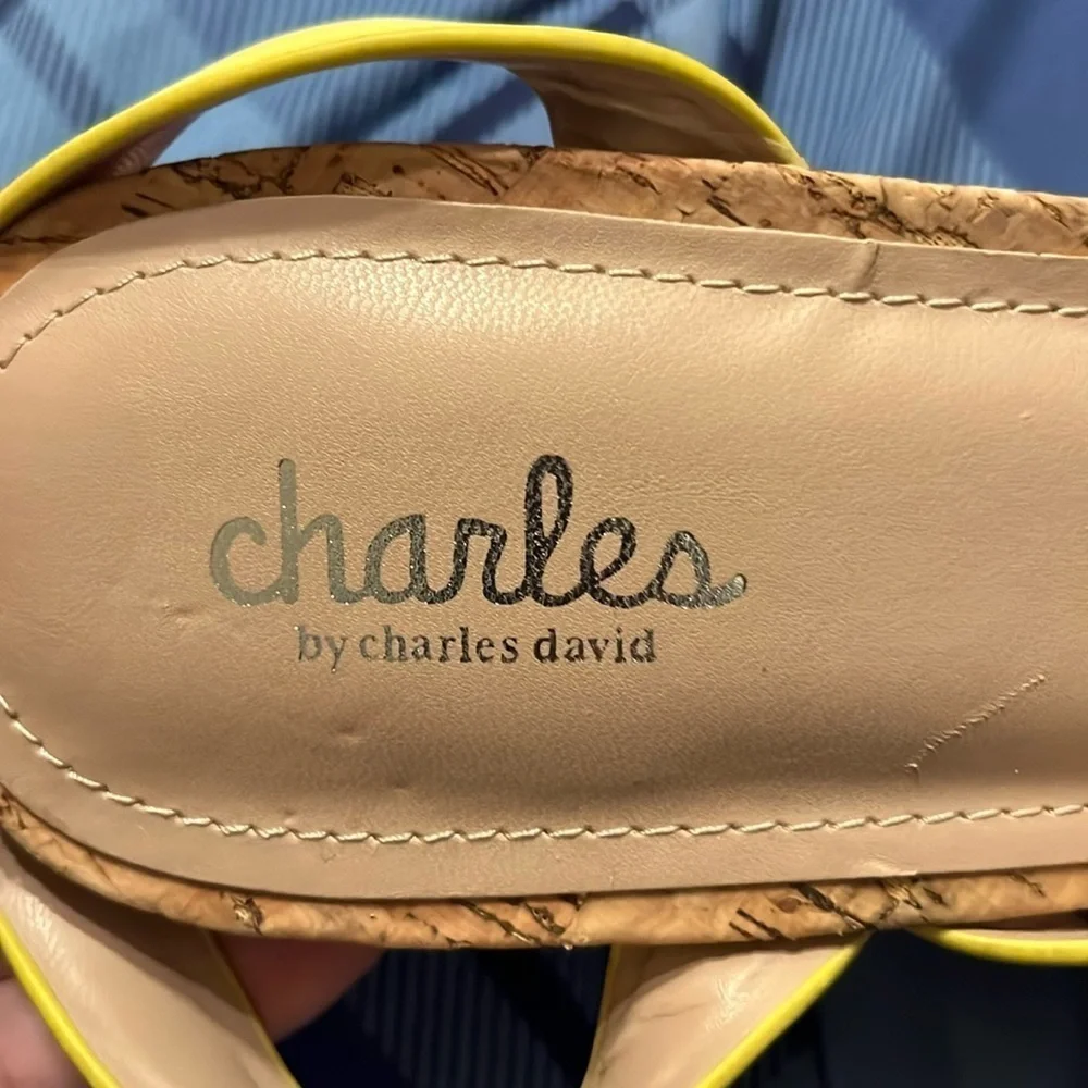 NEW CHARLES BY CHARLES DAVID Women's Loved Platform yellow  size 10